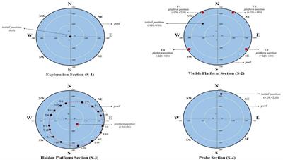 Spatial memory and learning: investigating the role of dynamic visual acuity